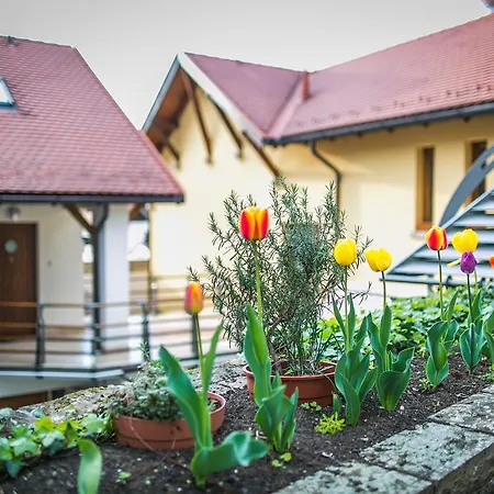 Imola Udvarház Dessert Hotel 3*